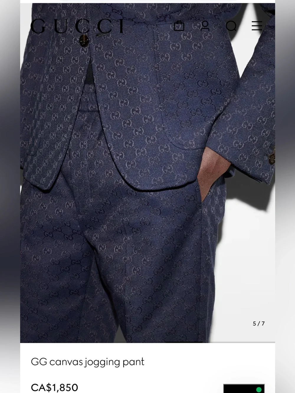 Gucci gg suit